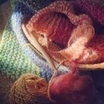 :: knitting ::