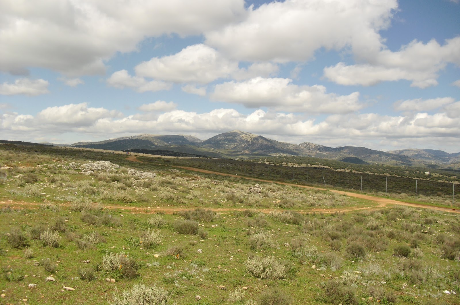 LA CASA ENCENDIDA LAS ABUELAS CIEGAS
