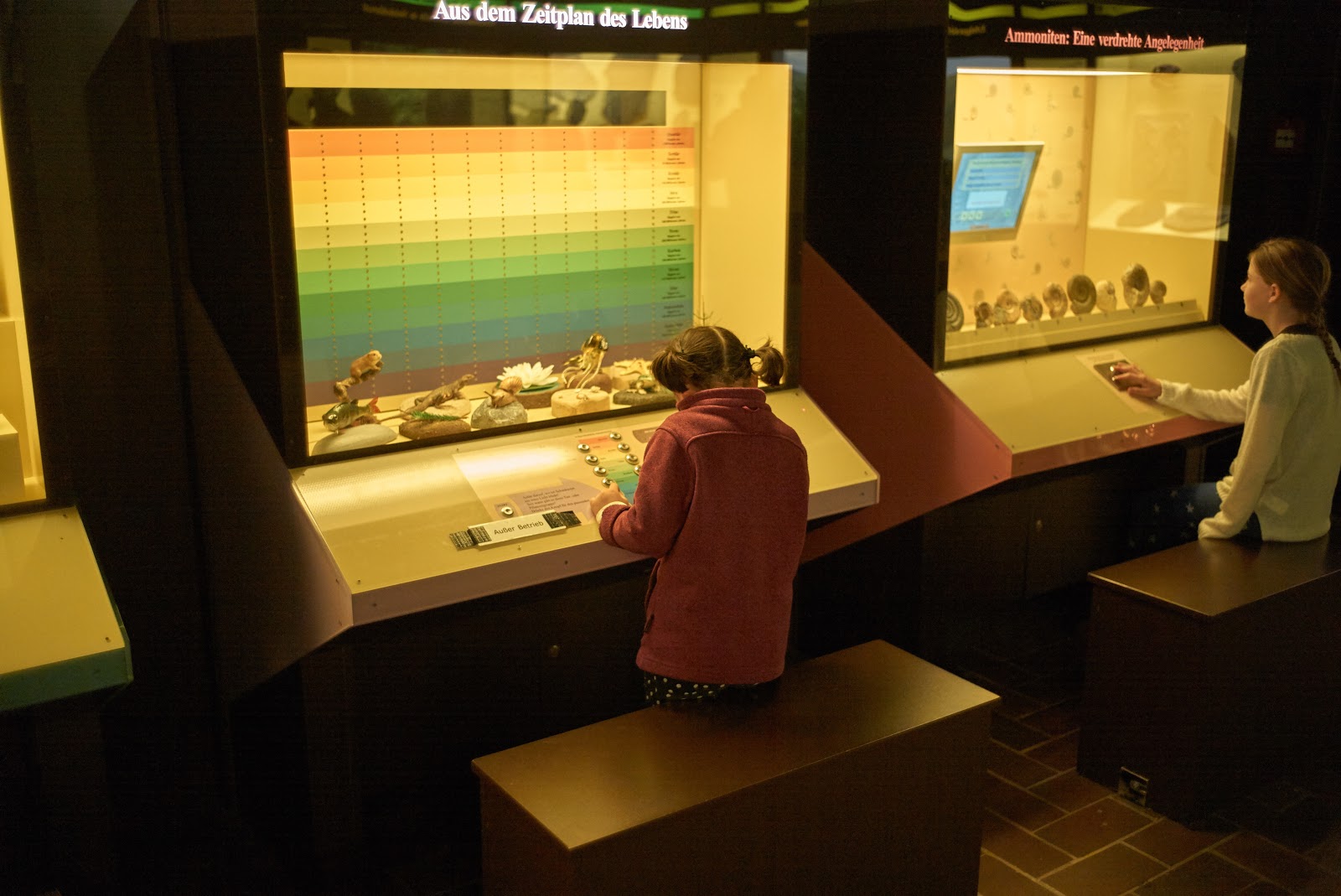 14.50 Cafe Zeit!: Museum Mensch und Natur（Museum of Man and Nature）