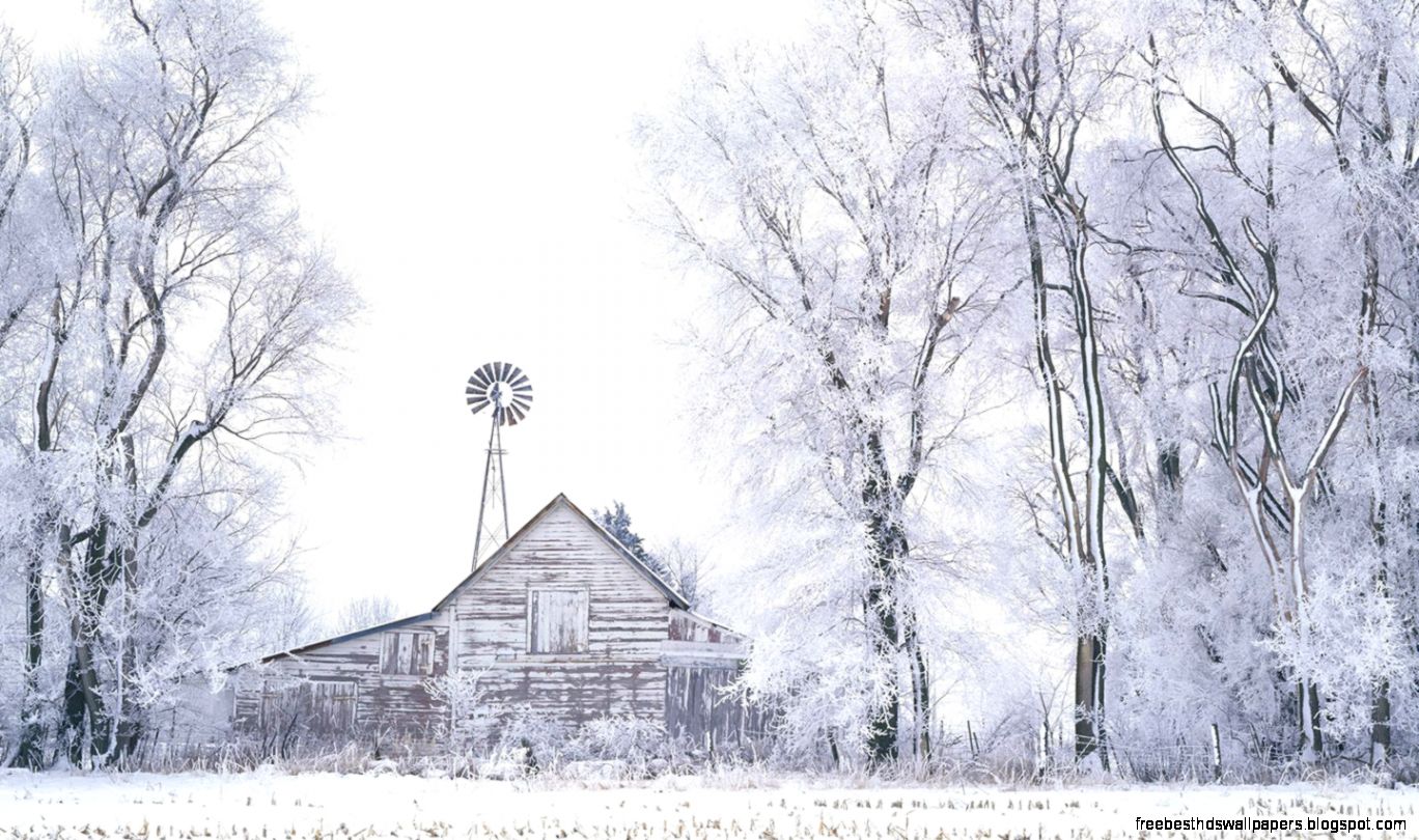 Winter wonderland  Dreamy Snow Scene wallpaper 1440x900 NO32