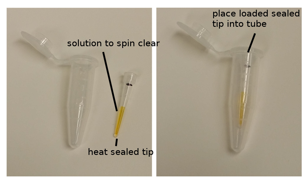 My Lab log How to fix clogged microinjection needle