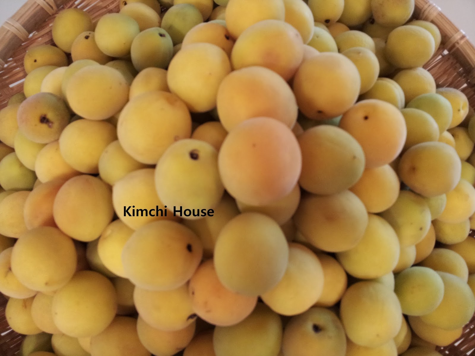 Kimchi House Chinese Plum "Maesil " / 梅 / 매실