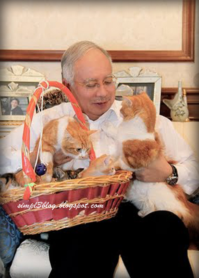 Kucing peliharaan Perdana Menteri , Dato' Najib   Blog 
