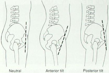 Are you too lazy to live?: Body Posture & Muscles Functions: (Part 5)