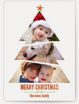 Designer Photo Holiday Cards.