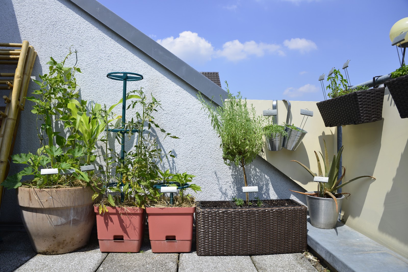 Projekt TerrassenGarten Sonniges Idyll auf kleinstem Raum