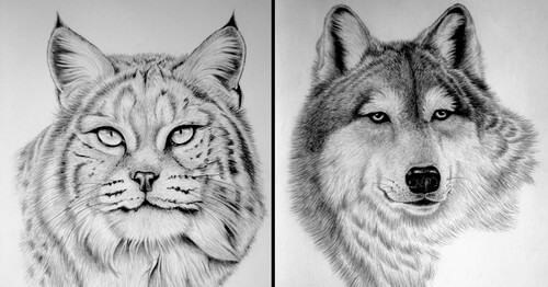 00-Kelly-Six-Pencil-Drawings-www-designstack-co