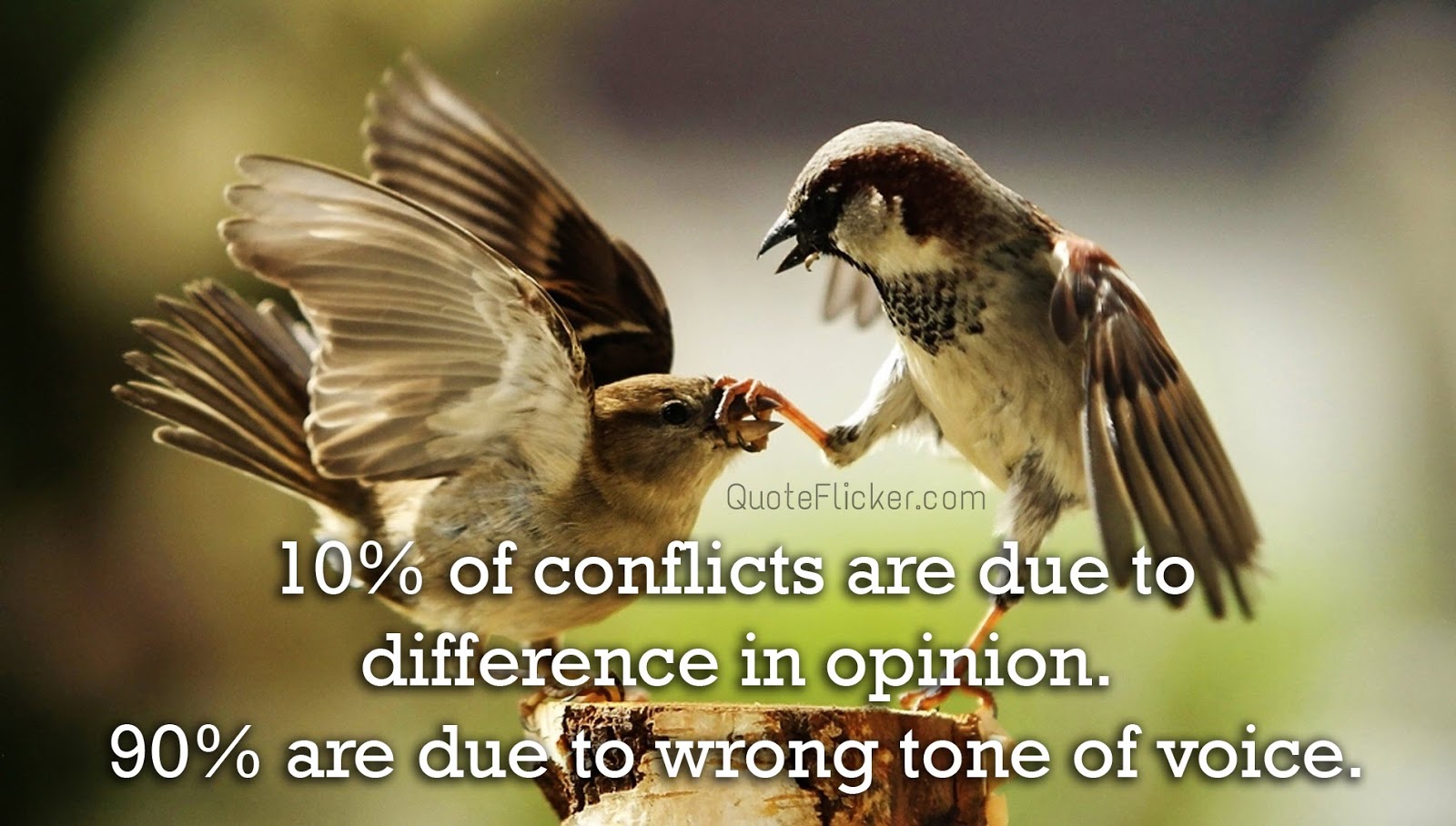 Tone Of Voice Quotes Tone Of Voice... | Quotes Collection