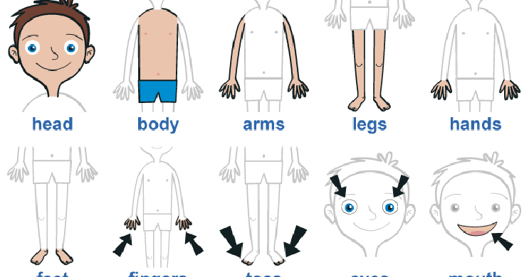 This is head. Lm a mess простые рисунки. My face английский. I have got a big nose. This is head.