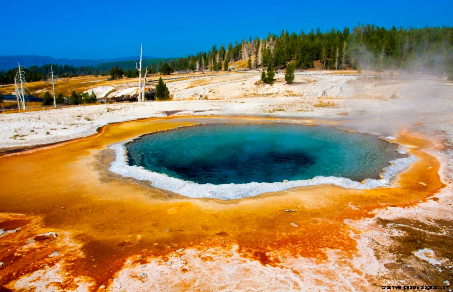 Yellowstone Lake National Park Zoom Wallpapers