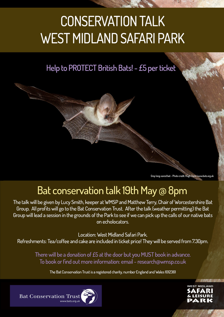 Bat Conservation Trust Safari Park staff go batty for bats
