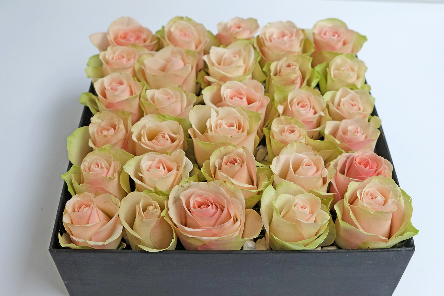 Rozen voor speciale mensen. Rozen voor speciale mensen.