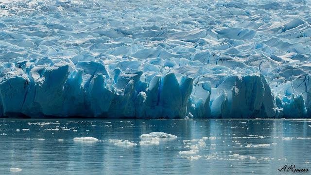El glaciar Grey, con más de 6 kilómetros de ancho y 30 metros de altura, avanza 450 metros al año. Ha perdido más de 4 kilómetros en los últimos 60 años. Parque Nacional Torres del Paine (Chile).