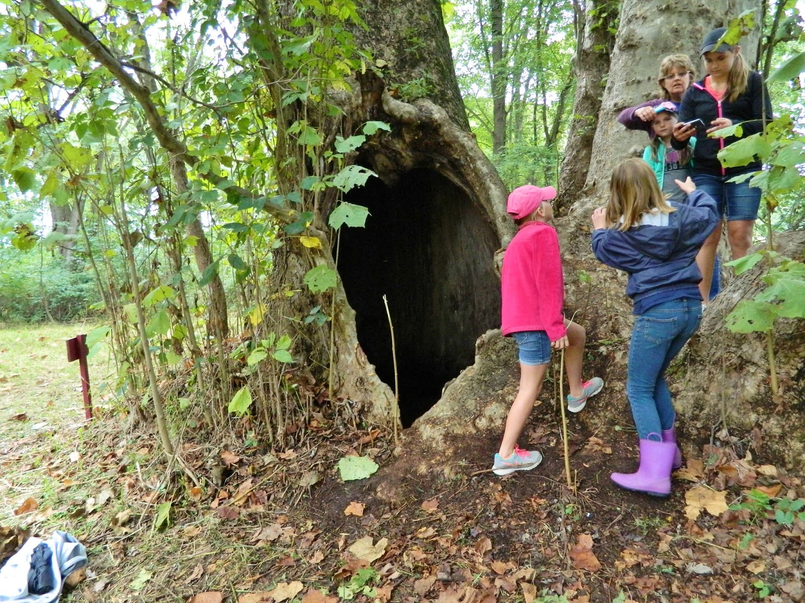 Jeromesville Sycamore Festival Jeromesville, Ohio