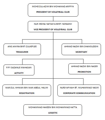 Msu Organizational Chart