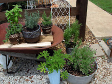 My Herb Garden