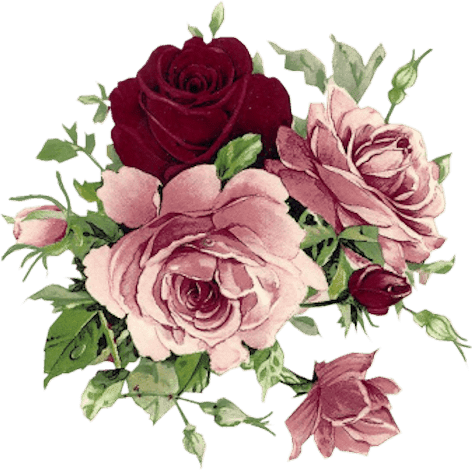 سكرابز ورود بدون تحميل منتديات جنون الحب