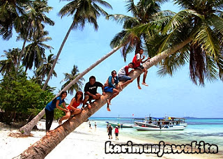 berfoto di pohon kelapa miring pantai tanjung gelam