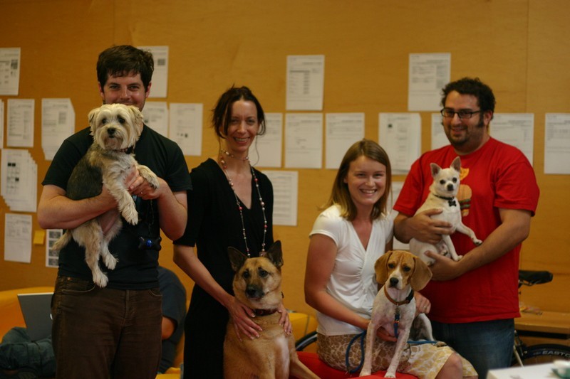 직장에 개 데리고 가는날.jpg | 인스티즈