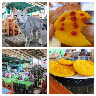 Collage of a cat and sopapillas with hot sauce at Mercado La Vega in Santiago Chile