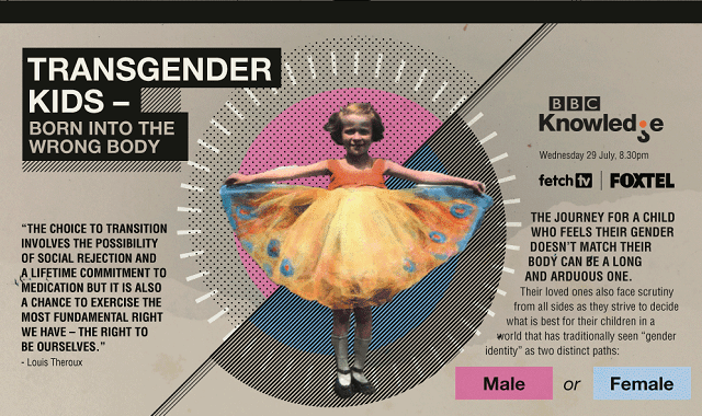 Transgender Kids Born into the Wrong Body