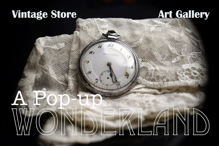 A Pop-up Wonderland