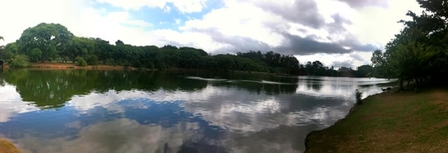 Parque Ibirapuera - Lago