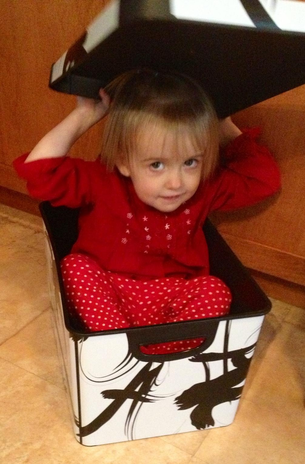 carol ann cole today Jack in the Box...or is it Jill?