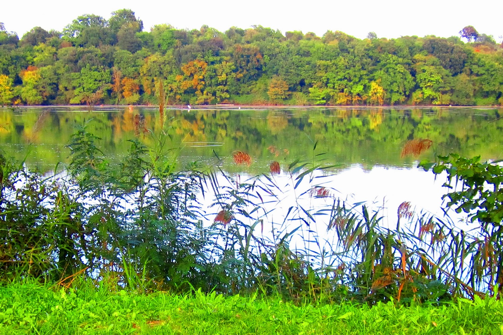 Come Si Chiamava Il Paradiso Dei Germani