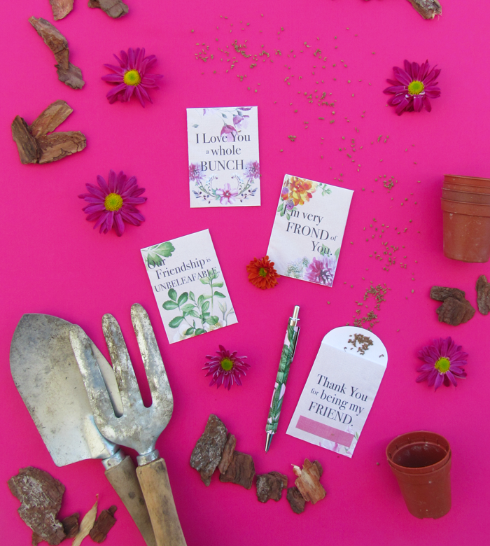 La Lilú Freebie Valentine's Day Plants/Flowers Seeds Envelopes