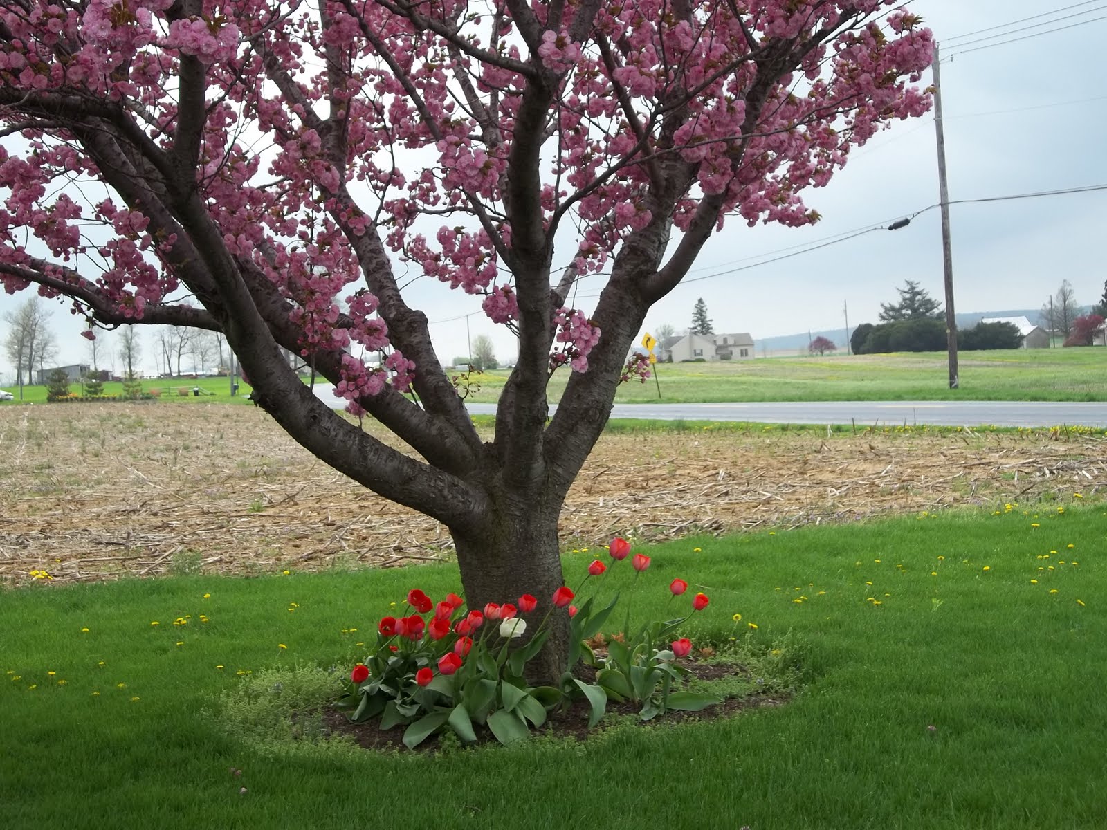 Pure Country Living Lebanon county Early spring in Lebanons Amish