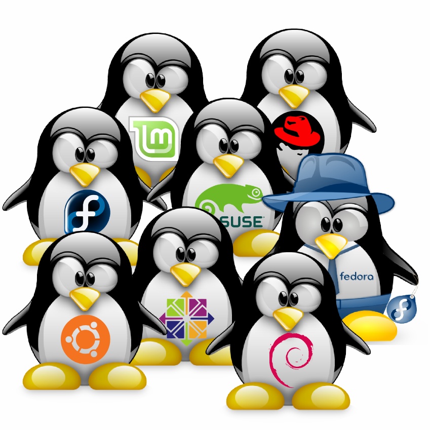 macam-macam linux
