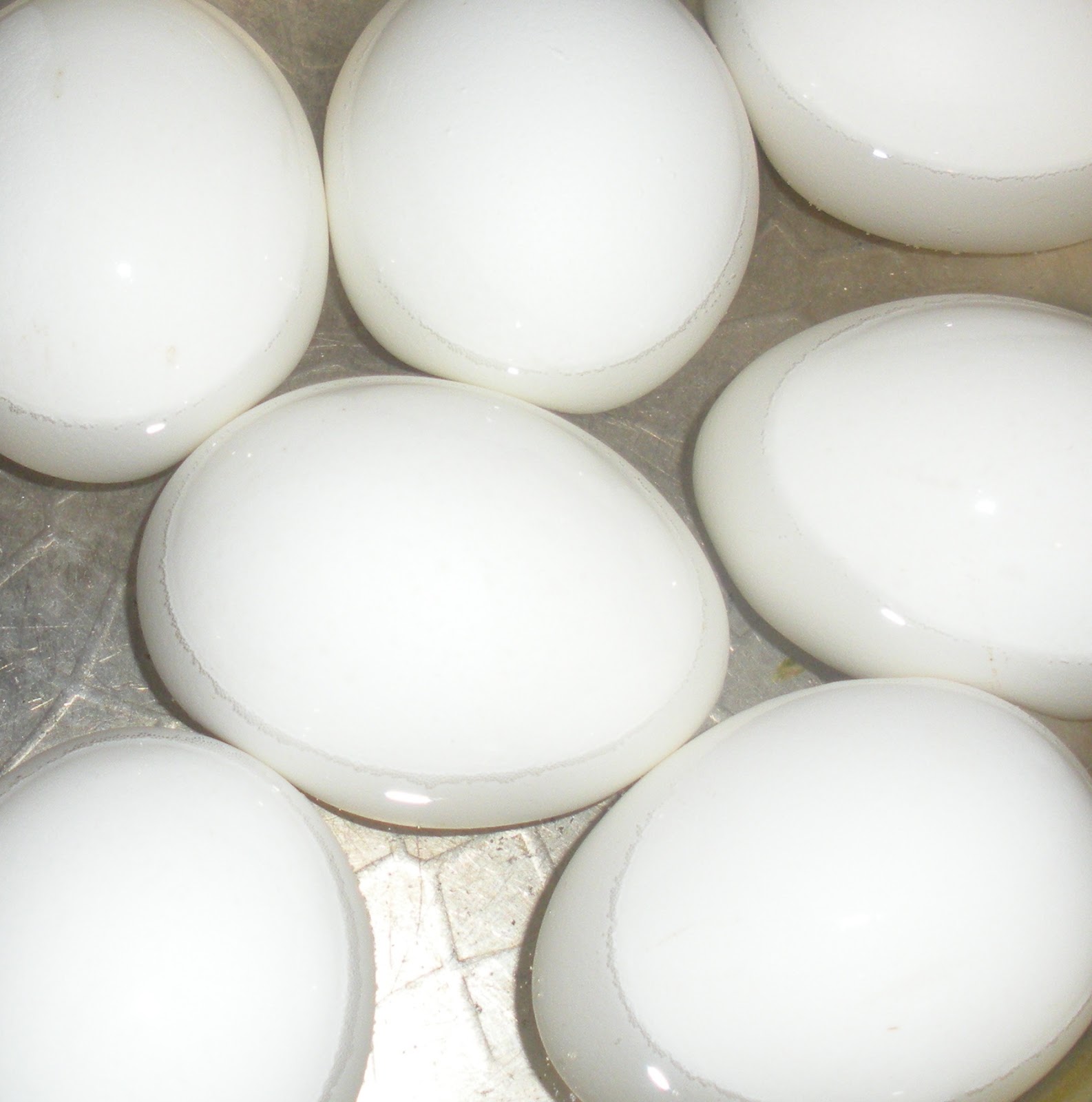 Doing Dukan in Japan Day 28 White Eggs