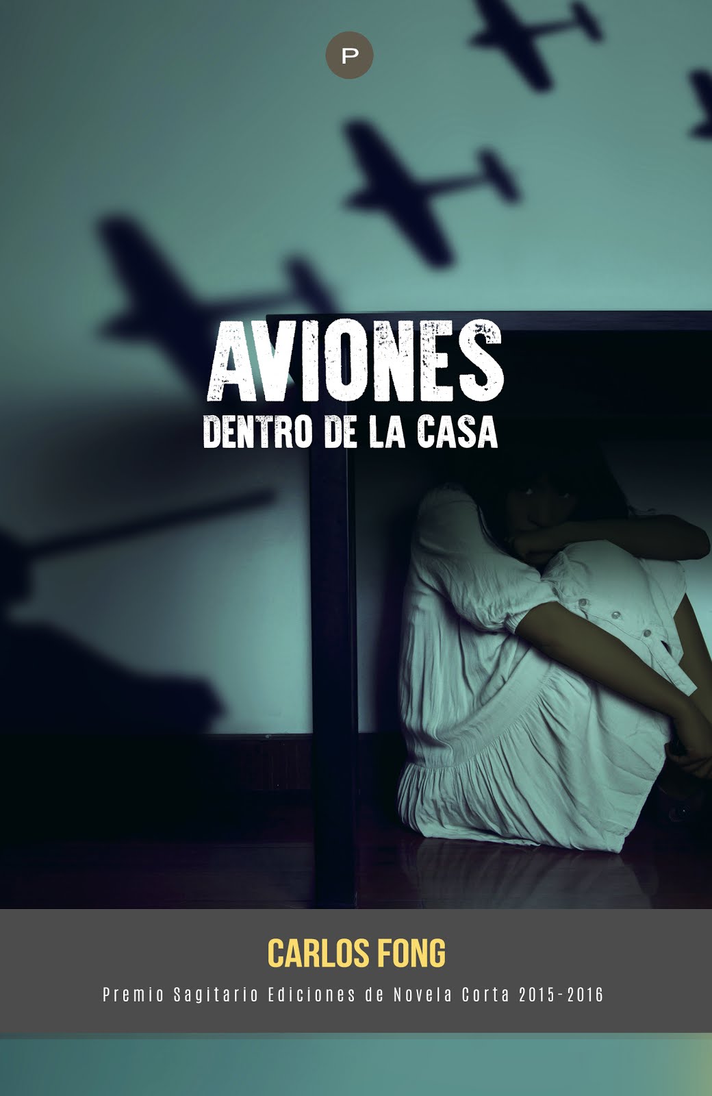 Aviones dentro de la casa (Novela)