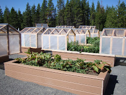 mini raised beds greenhouses greenhouse garden both bed covers gardens covered slide diy sliding vegetable build thedangergarden tops roof idea