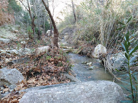 A place to reflect, near Adonis Baths, Paphos, Cyprus