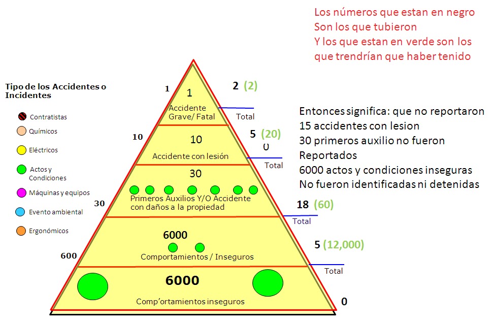 Piramide De Frank Bird - EDUCA