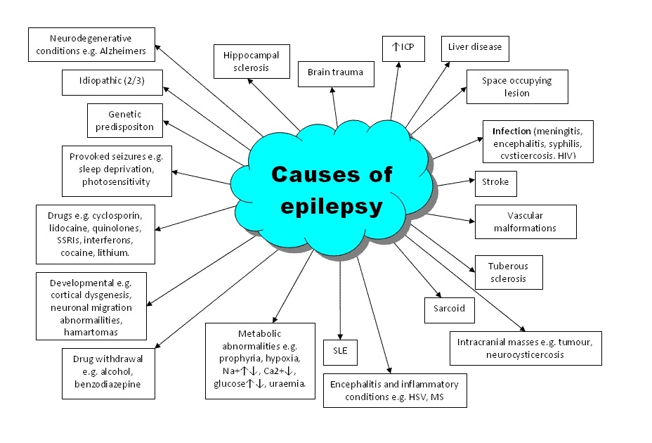 Dr Ajays Homeopathy Homeopathy Approach to Epilepsy (seizure )