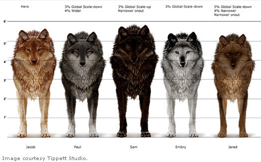 Twilight Pack: Werewolf Transformation