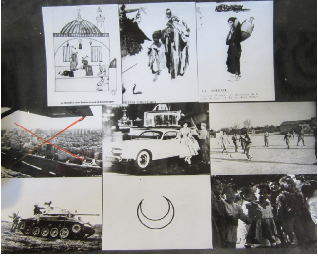 Development, Race, and the Cold War in Algeria