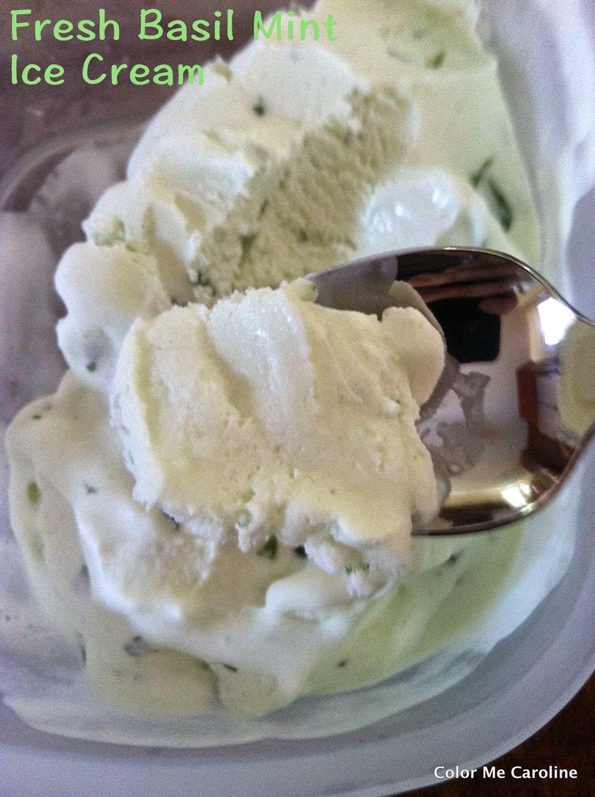 Color Me Caroline Basil Mint Ice Cream
