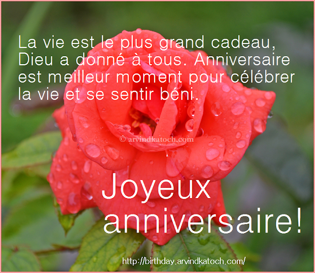French Happy Birthday Card Happy Birthday Card, French Card, Joyeux anniversaire, carte,