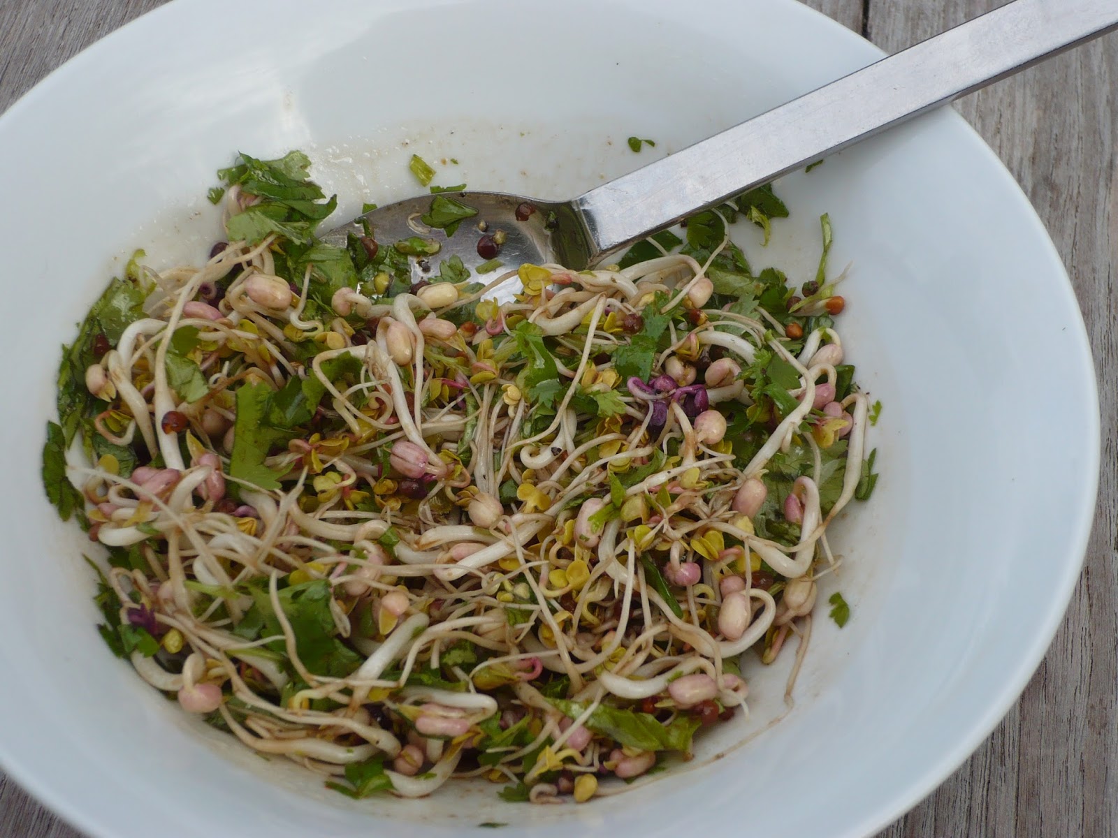 Notre Ecuelle Salade de soja et germes
