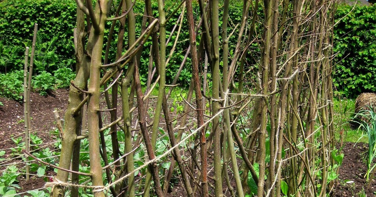 up the garden path:: sticks and string