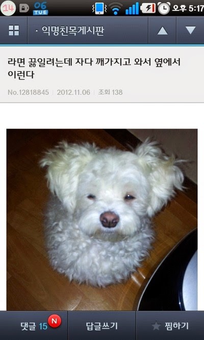 요즘에 그 이미쉘인가 걘 뭐하냐 | 인스티즈