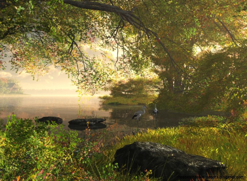 Cornucopia3D Portfolio   Steffi Goetz