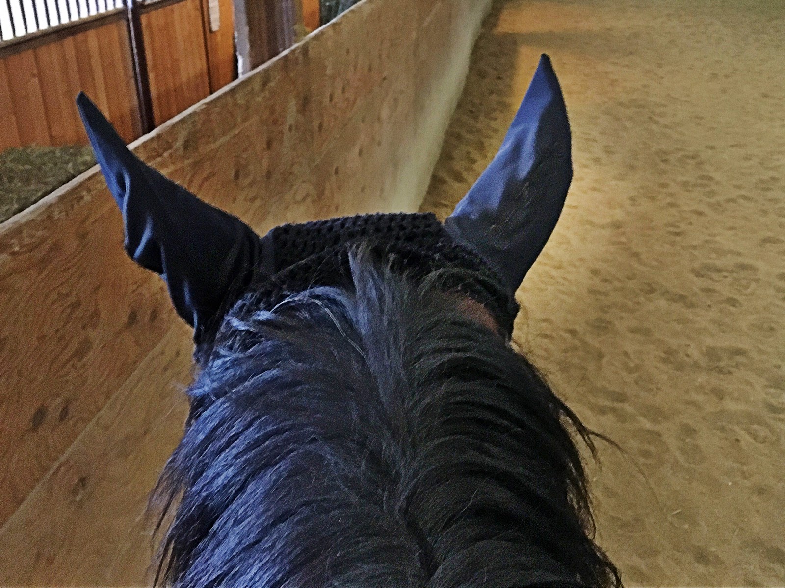 SprinklerBandits Vienna Reins II The