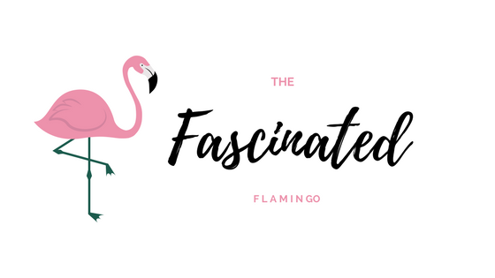 The Fascinated Flamingo 