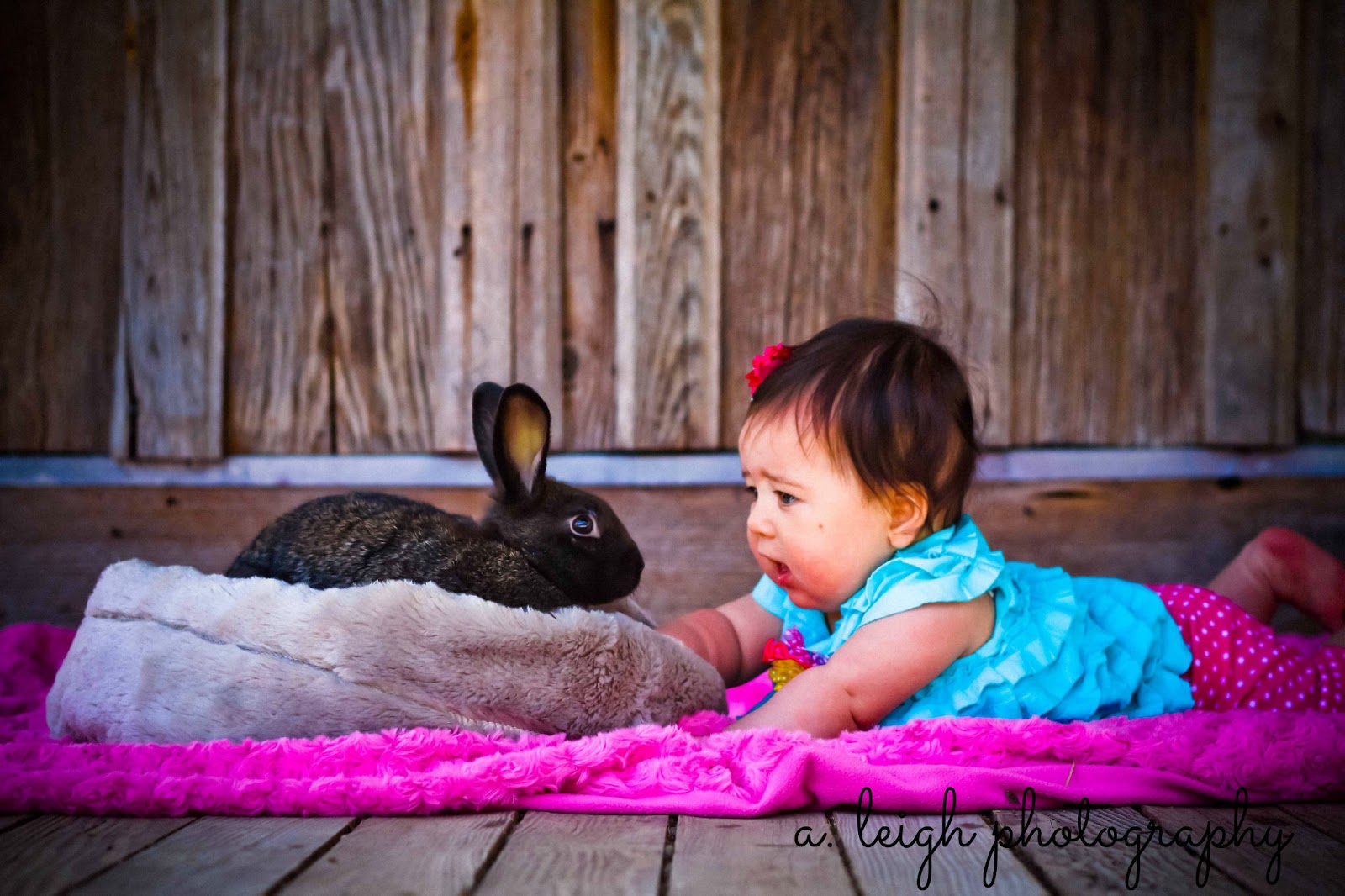 A. Leigh Photography live bunny shoots {new braunfels, tx photographer}