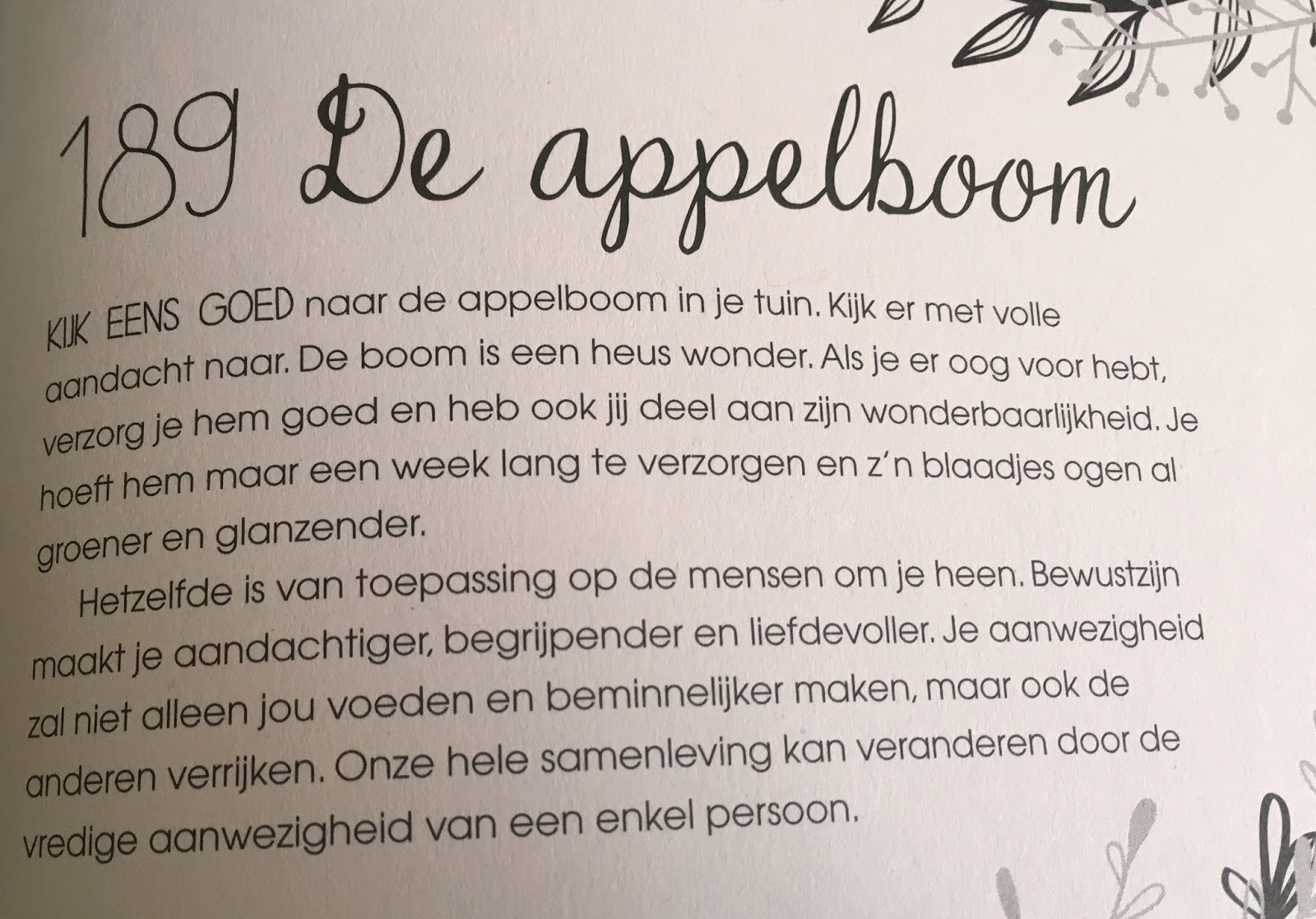 IK KAN VLIEGEN...: De appelboom